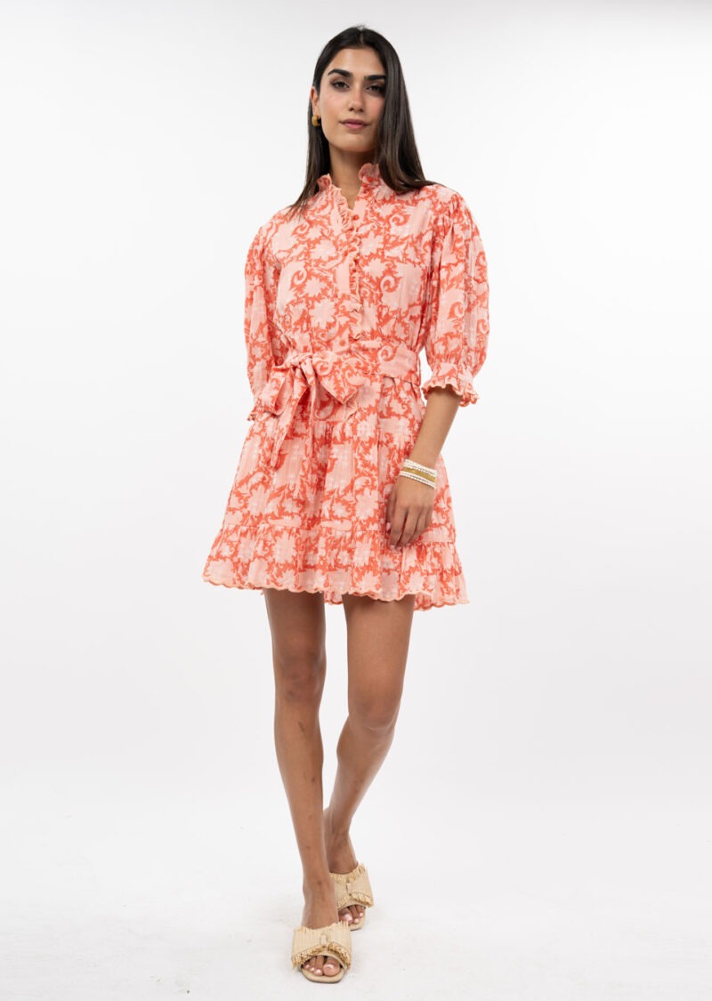 PRETTY PAISLEY DRESS