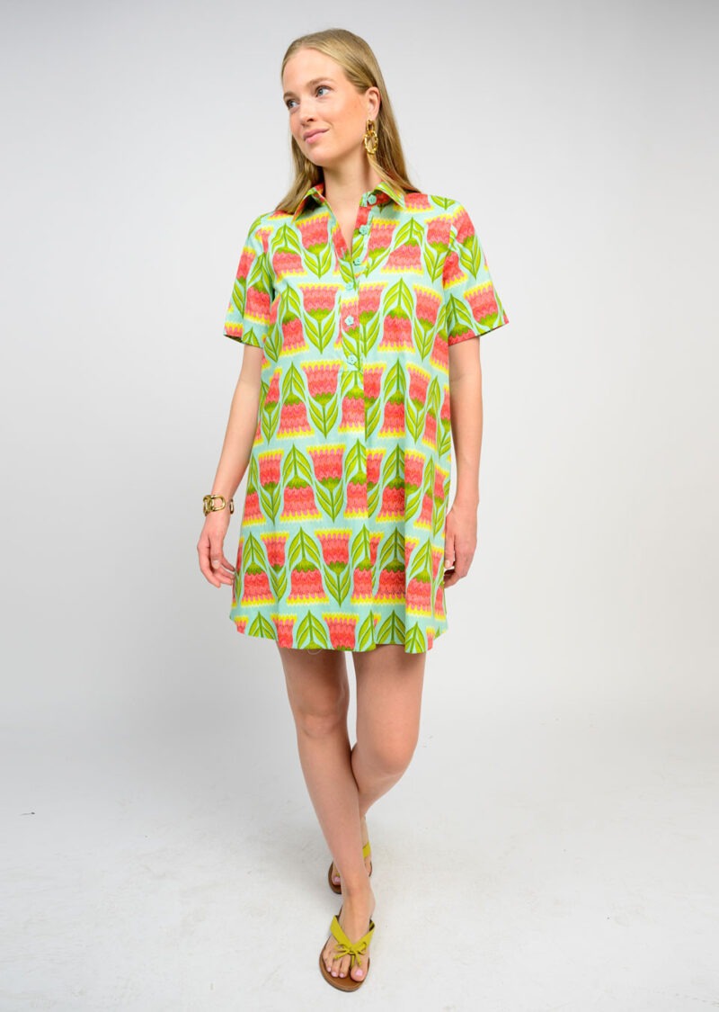 SPRINGTIME CHARM DRESS