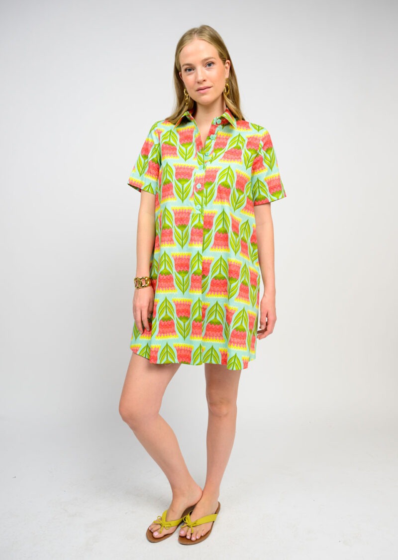 SPRINGTIME CHARM DRESS