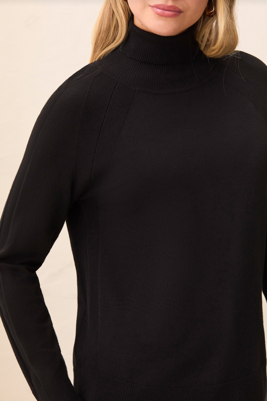 LONGSLEEVE TURTLENECK SWEATER